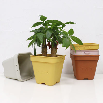カスタマイズされたロゴと友好的な多機能シリコーンの植木鉢エコ