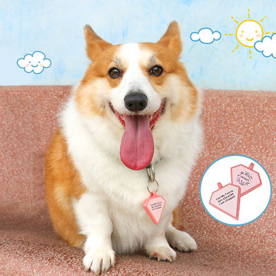 PAISEN 個別化されたカスタム 犬タグ 3D QRコード 彫り 犬 ネコネクタイ シリコン ペットタグ
