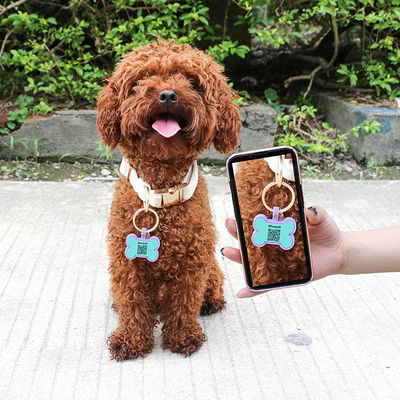 PAISEN 個別化されたカスタム 犬タグ 3D QRコード 彫り 犬 ネコネクタイ シリコン ペットタグ