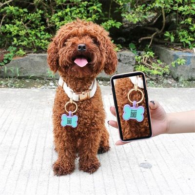 卸売 低MOQ 安い 異なる形 選択肢のための色数 シリコン 空白 犬 タグ 名 ID タグ