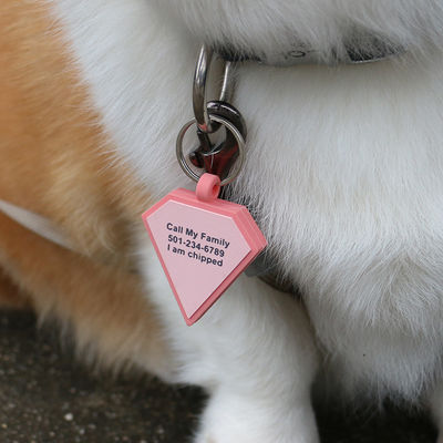 卸売 低MOQ 安い 異なる形 選択肢のための色数 シリコン 空白 犬 タグ 名 ID タグ